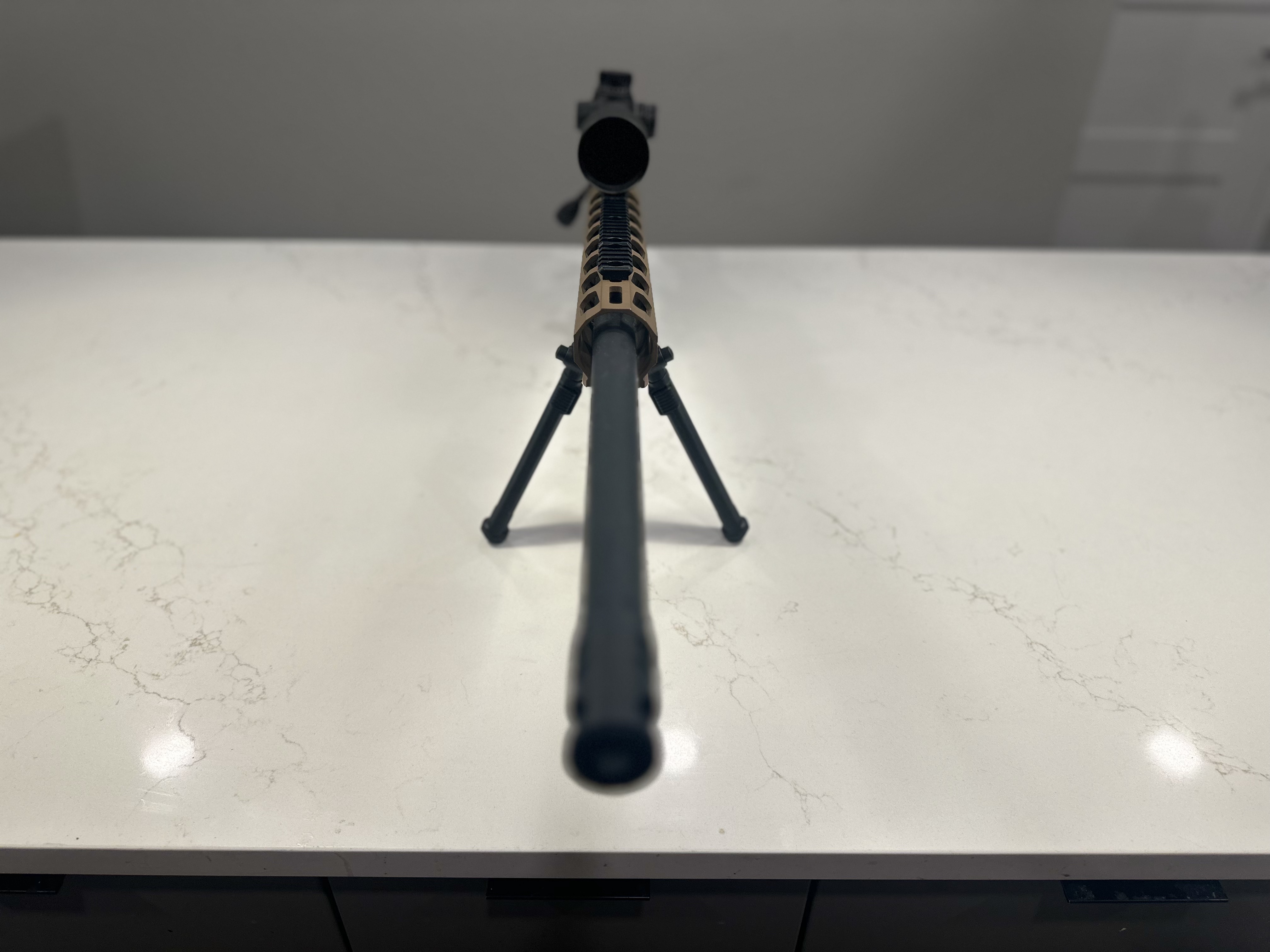 Precision Rifle-img-3