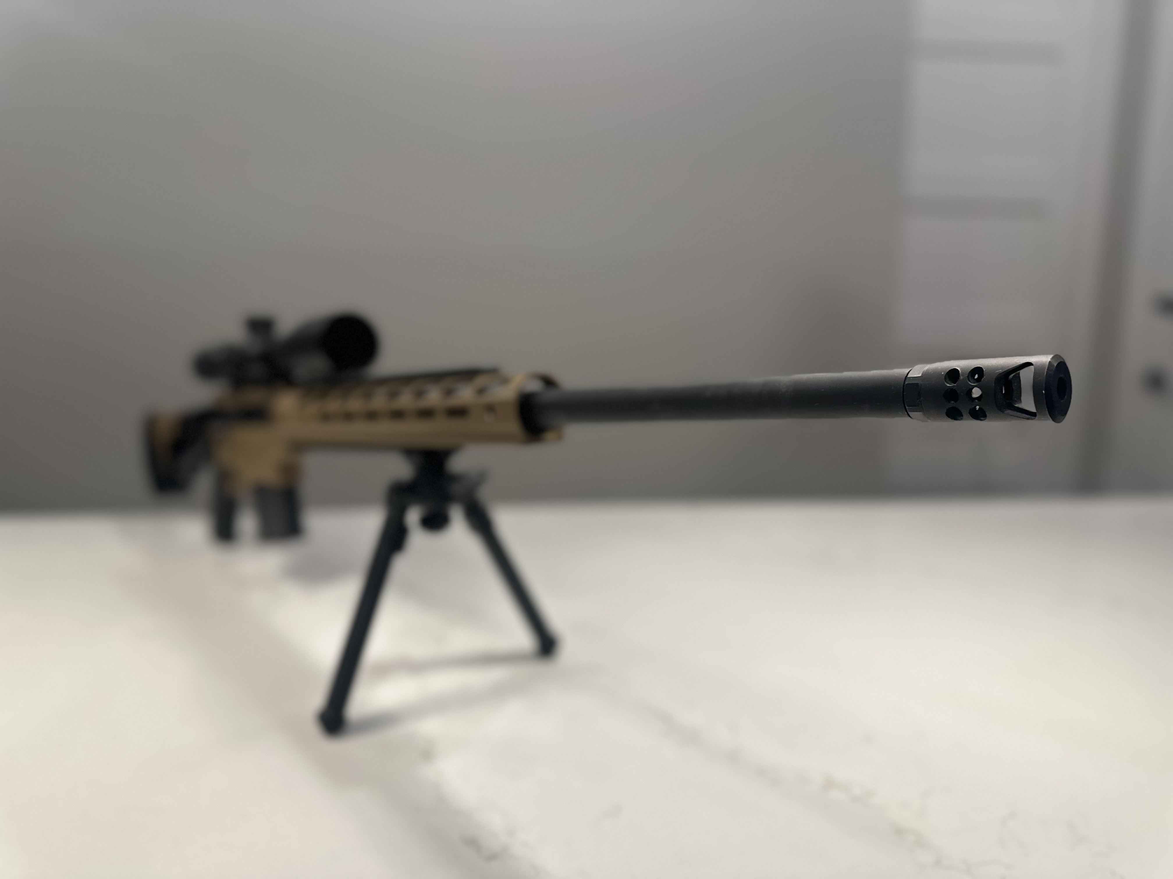 Precision Rifle-img-8